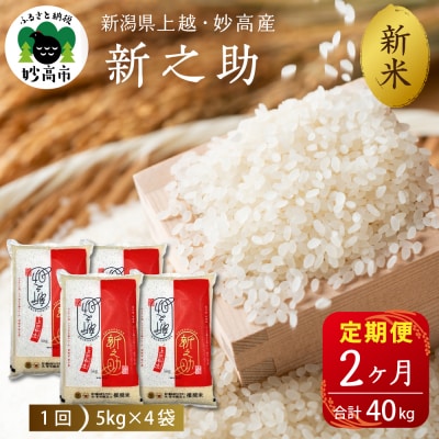 2025N12{蔭yցzߘa7NYVzEYVV20kg×2(v40kg)
