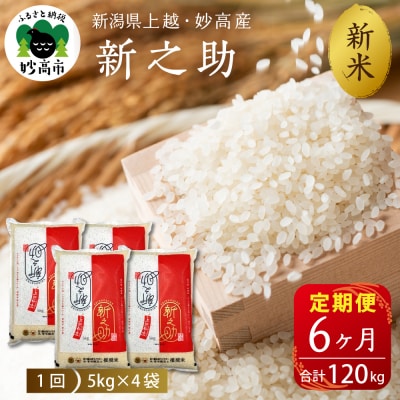 2025N10{蔭yցzߘa7NYzEYVV20kg×6(v120kg)
