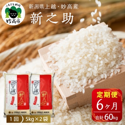 2026N1{yցzߘa7NYVzEYVV10kg×6(v60kg)