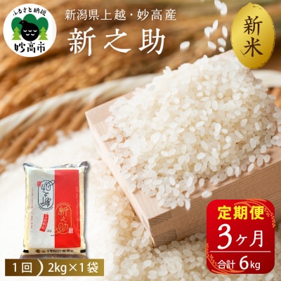 【2025年10月中旬発送】【定期便】令和7年産 新潟県上越・妙高産新之助2kg×3回(計6kg)