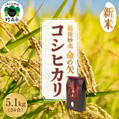 令和7年産 越後妙高命の矢 コシヒカリ 5.1kg