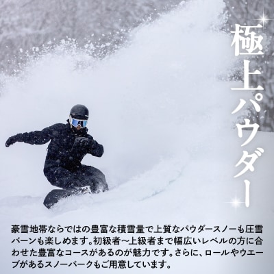 池の平温泉アルペンブリックスキー場　リフト1日券(ICカード引換券)1枚