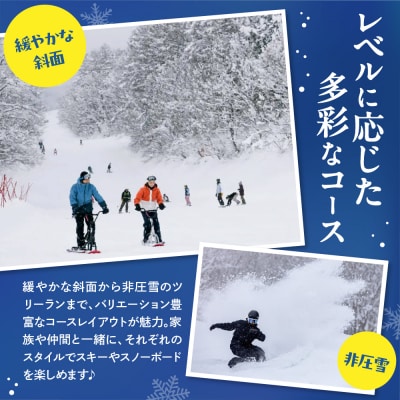 池の平温泉アルペンブリックスキー場　リフト1日券(ICカード引換券)2枚