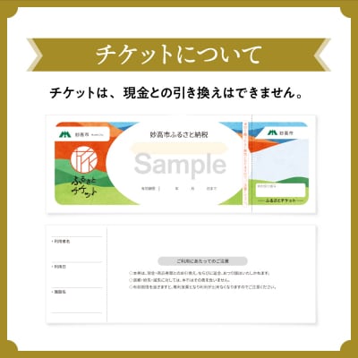 池の平温泉アルペンブリックスキー場　リフト1日券(ICカード引換券)2枚