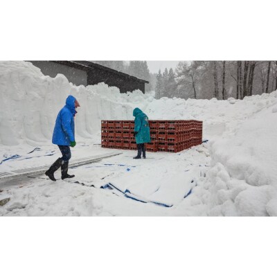 泳雲 (えいうん)　COLD　SLEEP(新潟県妙高市)