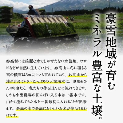 【2026年1月下旬発送】令和7年産 新潟県妙高産こしひかり「星降る里」5kg 無洗米
