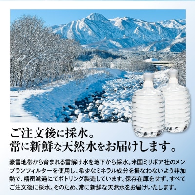 妙高山麓の天然水8L (2本×12回)計24本 +卓上式ウォーターサーバー付き