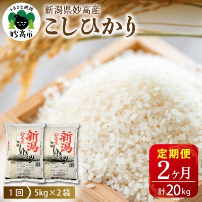【2026年2月下旬発送】【定期便】令和7年産 新潟県妙高産コシヒカリ10kg(5kg×2袋)×2回