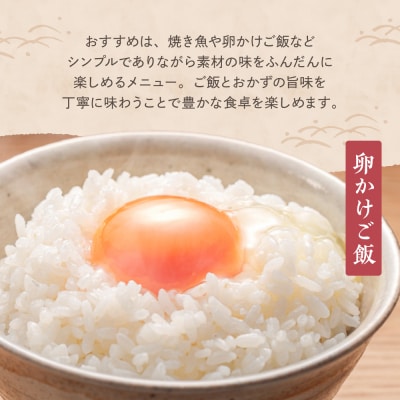 【2026年4月上旬発送】【定期便】令和7年産 新潟県妙高産コシヒカリ10kg(5kg×2袋)×2回