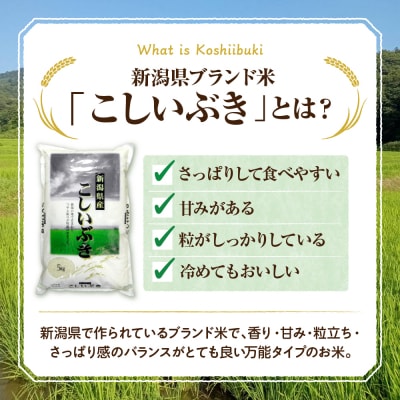 新潟県妙高市猪野山産こしいぶき 5kg
