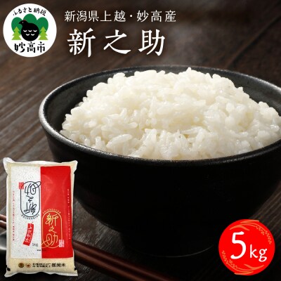 新潟県上越妙高産 新之助 5kg【順次発送】