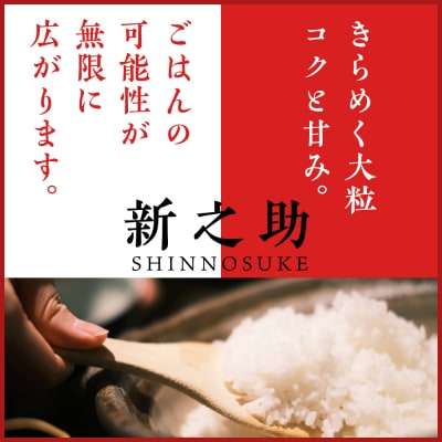 新潟県上越妙高産 新之助 10kg【順次発送】