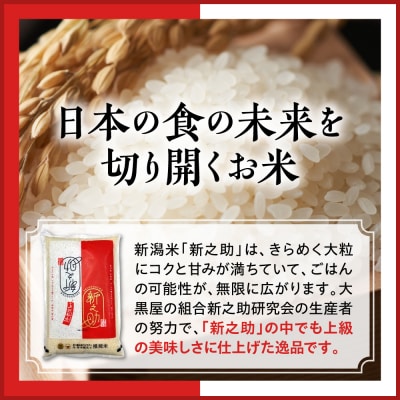 新潟県上越妙高産 新之助 10kg【順次発送】