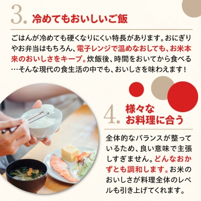 新潟県上越妙高産 新之助 20kg【順次発送】