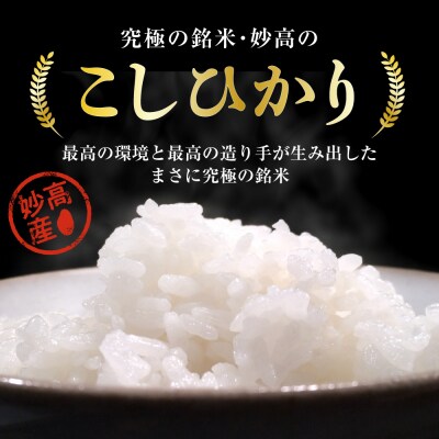 新潟県妙高産コシヒカリ2kg【順次発送】