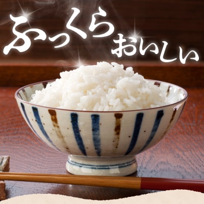 新潟県妙高産こしひかり2kg【順次発送】