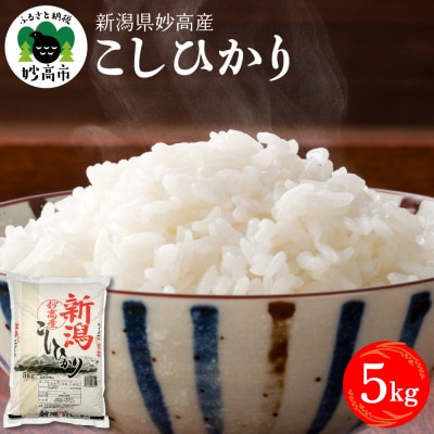 新潟県妙高産こしひかり5kg【順次発送】