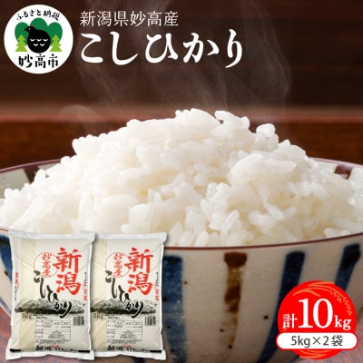 新潟県妙高産こしひかり10kg【順次発送】