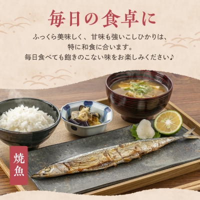 新潟県妙高産コシヒカリ10kg【順次発送】