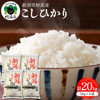 新潟県妙高産こしひかり20kg【順次発送】