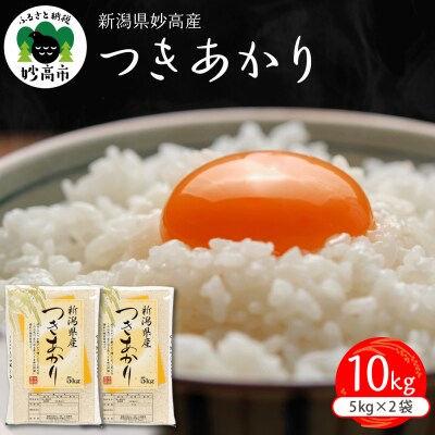 新潟県妙高産つきあかり10kg【順次発送】