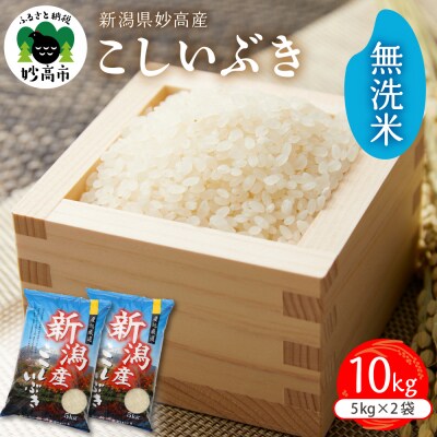 新潟県妙高産こしいぶき無洗米10kg【順次発送】