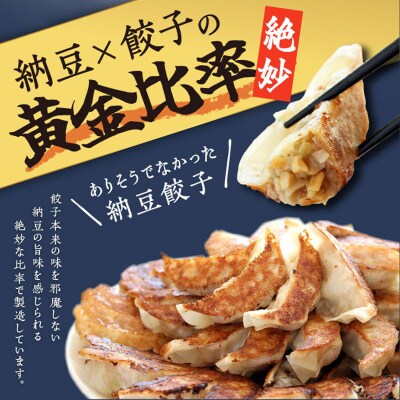 納豆餃子 (八幡平ポーク使用) 80個(20個×4袋)|15_tbs-060401