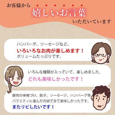 かごしま黒豚さつま豪華バラエティセット