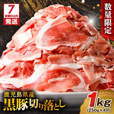 【7営業日以内に発送】【数量限定】鹿児島県産 黒豚切り落とし 1kg　K025-001_02