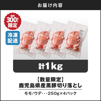 【7営業日以内に発送】【数量限定】鹿児島県産 黒豚切り落とし 1kg　K025-001_02