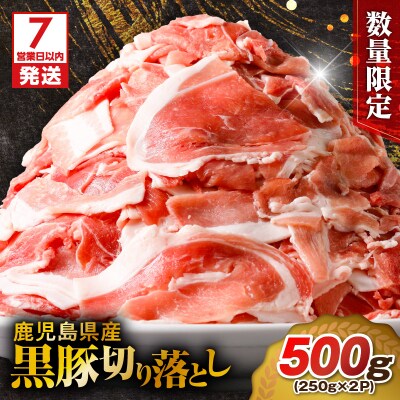 【7営業日以内に発送】【数量限定】鹿児島県産 黒豚切り落とし 500g　K025-001_01