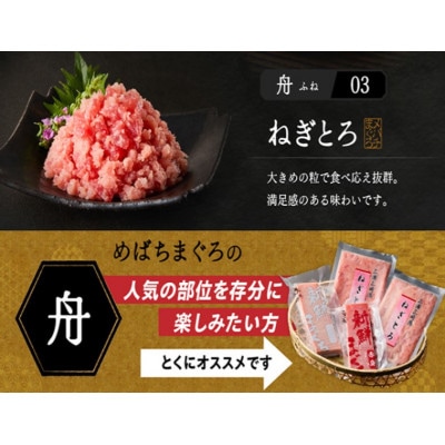 めばちまぐろづくし 舟(ふね)