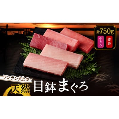 ワンランク上の天然目鉢鮪中とろ・赤身セット　750g