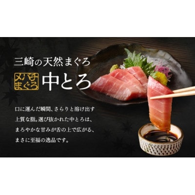 ワンランク上の天然目鉢鮪中とろ・赤身セット　750g