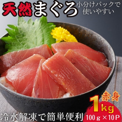 【小分けパックで使いやすい】切れてる天然マグロ100g×10p【神奈川県漁連】