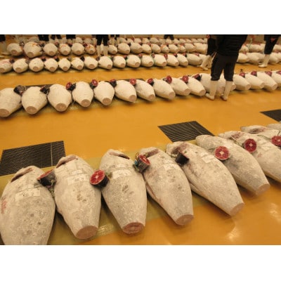 【小分けパックで使いやすい】切れてる天然マグロ100g×10p【神奈川県漁連】