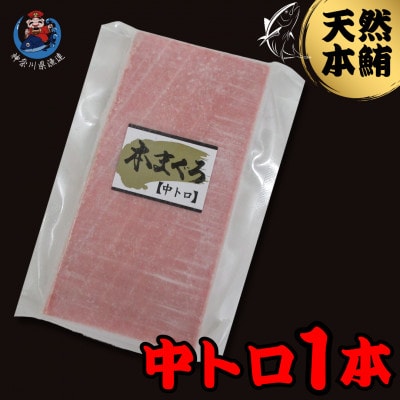 神奈川県漁連　天然本マグロ　中トロサク