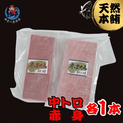 神奈川県漁連　天然本マグロ　中トロ・赤身セット
