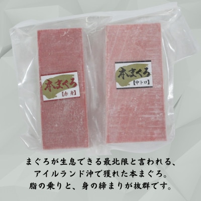 神奈川県漁連　天然本マグロ　中トロ・赤身セット