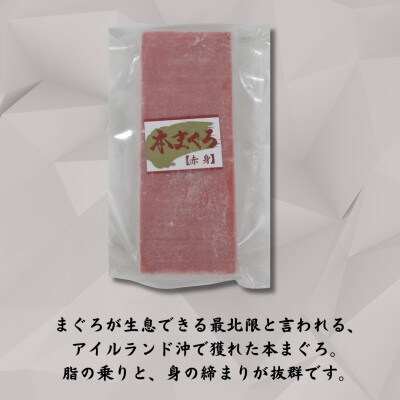 【年内発送】神奈川県漁連　天然本マグロ　赤身サク　【お正月用】