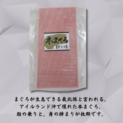 【年内発送】神奈川県漁連　天然本マグロ　中トロ　【お正月用】