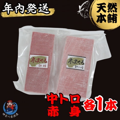 【年内発送】神奈川県漁連 天然本マグロ 中トロ・赤身セット 【お正月用】