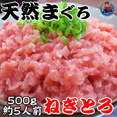 神奈川県漁連　天然マグロ　ネギトロ(500g)