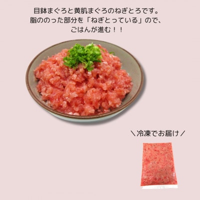 神奈川県漁連　天然マグロ　ネギトロ(500g)