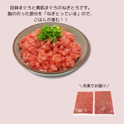 神奈川県漁連　天然マグロ　ネギトロ　1kg(500g×2パック)
