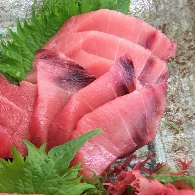≪訳あり≫ど～んと1kg!!三崎まぐろ中トロ・赤身　お刺身セット