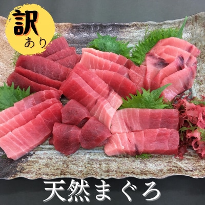 ≪訳あり≫三崎まぐろ中トロ・赤身　お刺身セット合計500g