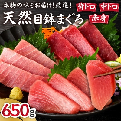 本物の味をお届け!厳選!天然三崎まぐろ【希少部位】背トロ&中トロ・赤身セット