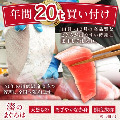 【お正月用E】天然目鉢鮪 中とろ2柵・赤身1柵(年内発送)