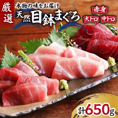 本物の味をお届け!厳選!天然三崎まぐろ 大トロ・中トロ・赤身セット